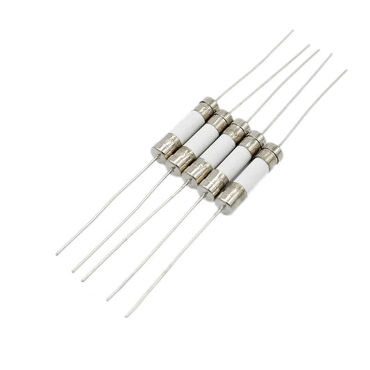 Ceramic fuse 10A 250V ( Pack of 2 ) For asic miner psu