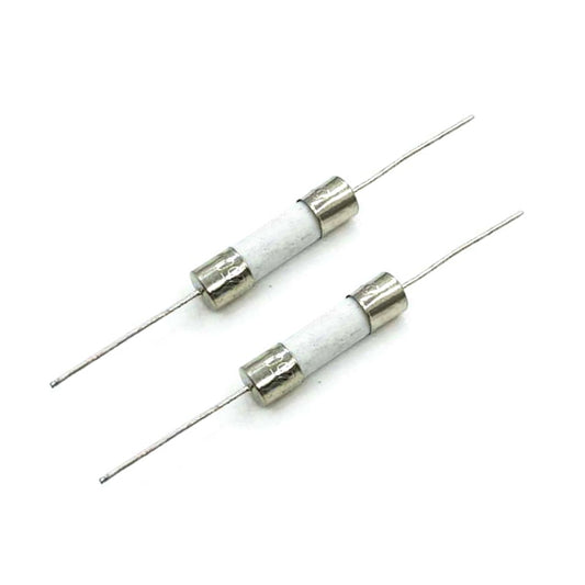 Ceramic fuse 20A 250V ( Pack of 2 ) For asic miner psu